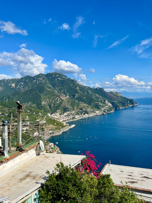 Journey to Sorrento: Unveiling the Story Behind Citrus of Sorrento
