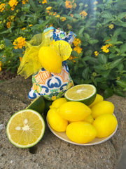 Lemon Scented Draw Fresheners | Lemon Soaps